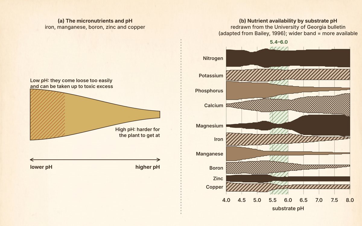 Two panels. Left: a tapered band for five micronutrients, thick and hatched at the low-pH end and narrowing toward high pH. Right: ten horizontal bands for nitrogen through copper across substrate pH 4.0 to 8.0, each widening or narrowing with pH, with a hatched green stripe from 5.4 to 6.0.