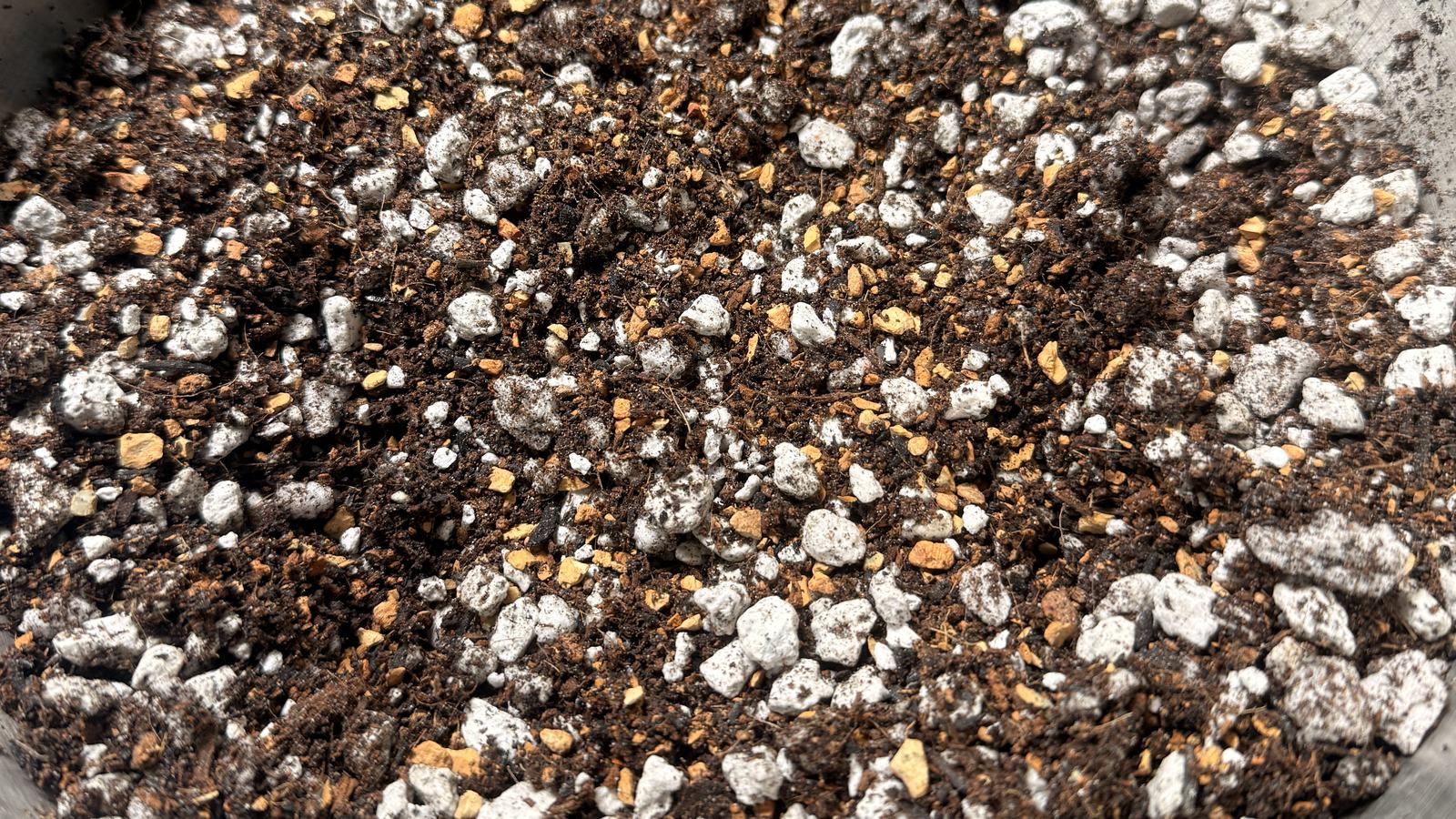 Close-up of loose potting mix: dark brown fibrous organic matter speckled with white granules and small tan chips